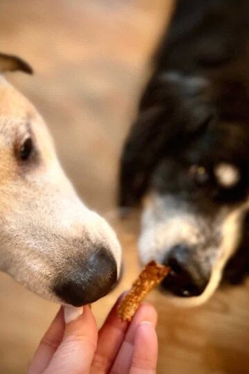2 Dogs eating a salmon skin dog treat out of a hand.