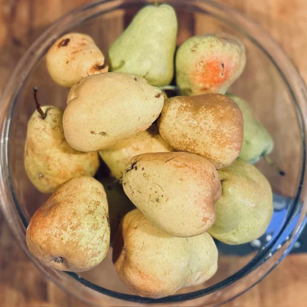 Glass bowl full of pears sitting on a wooden counter.