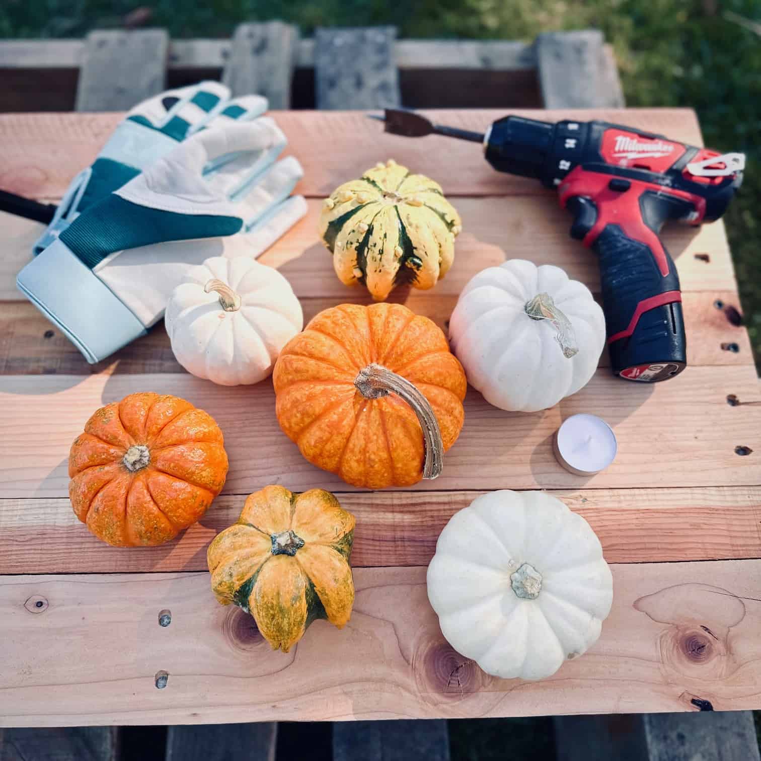 A wooden table with little pumpkins and gourds, a tealight candle a drill and a pair of work gloves.