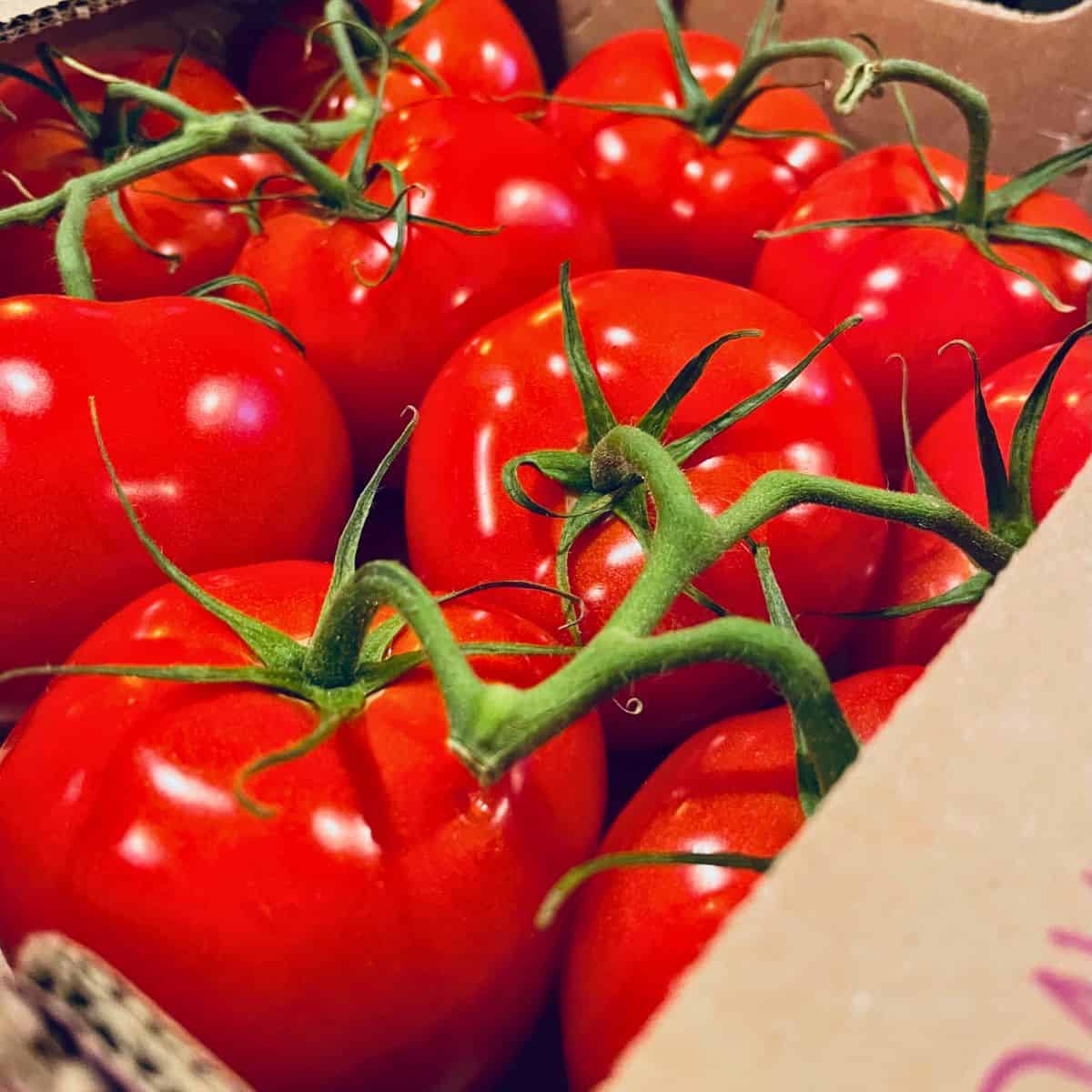 Box of red tomatoes.
