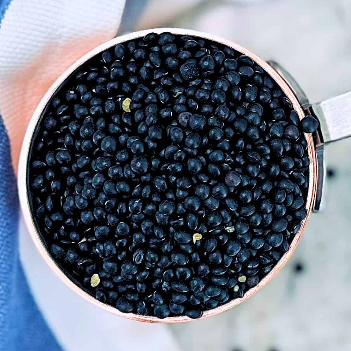 Birdseye view of black lentils in a measuring cup.