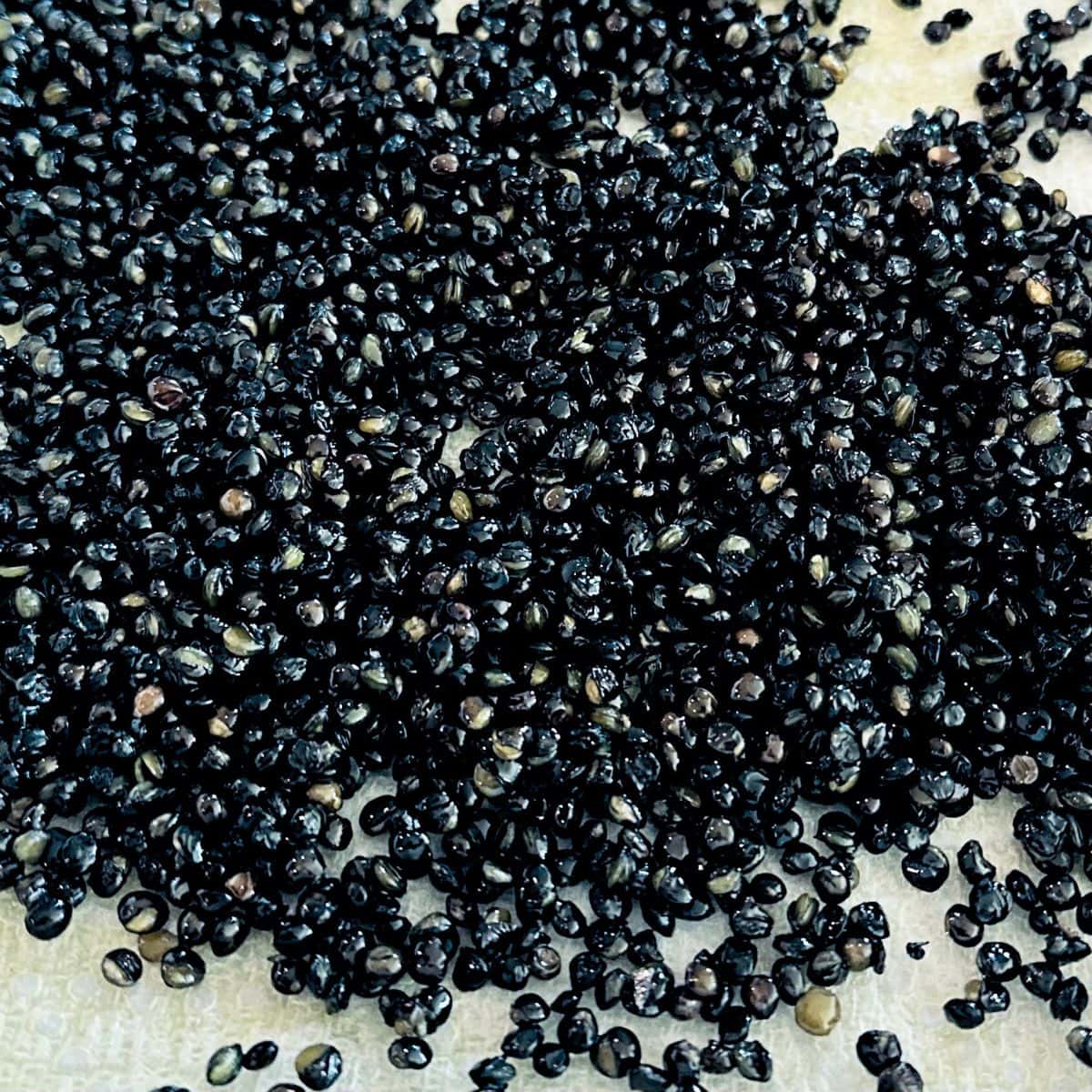 Fried black lentils on a paper towel.